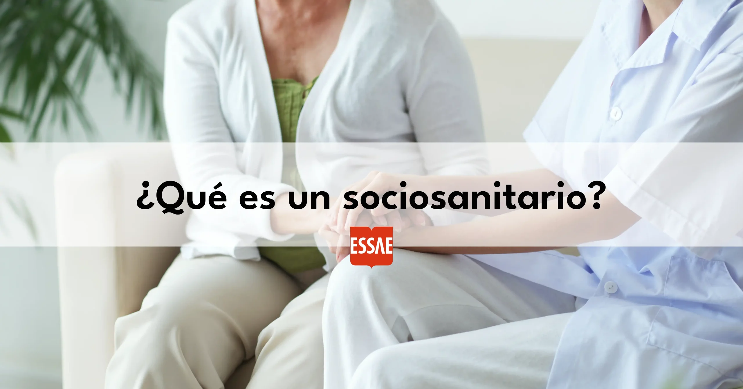 que es sociosanitario