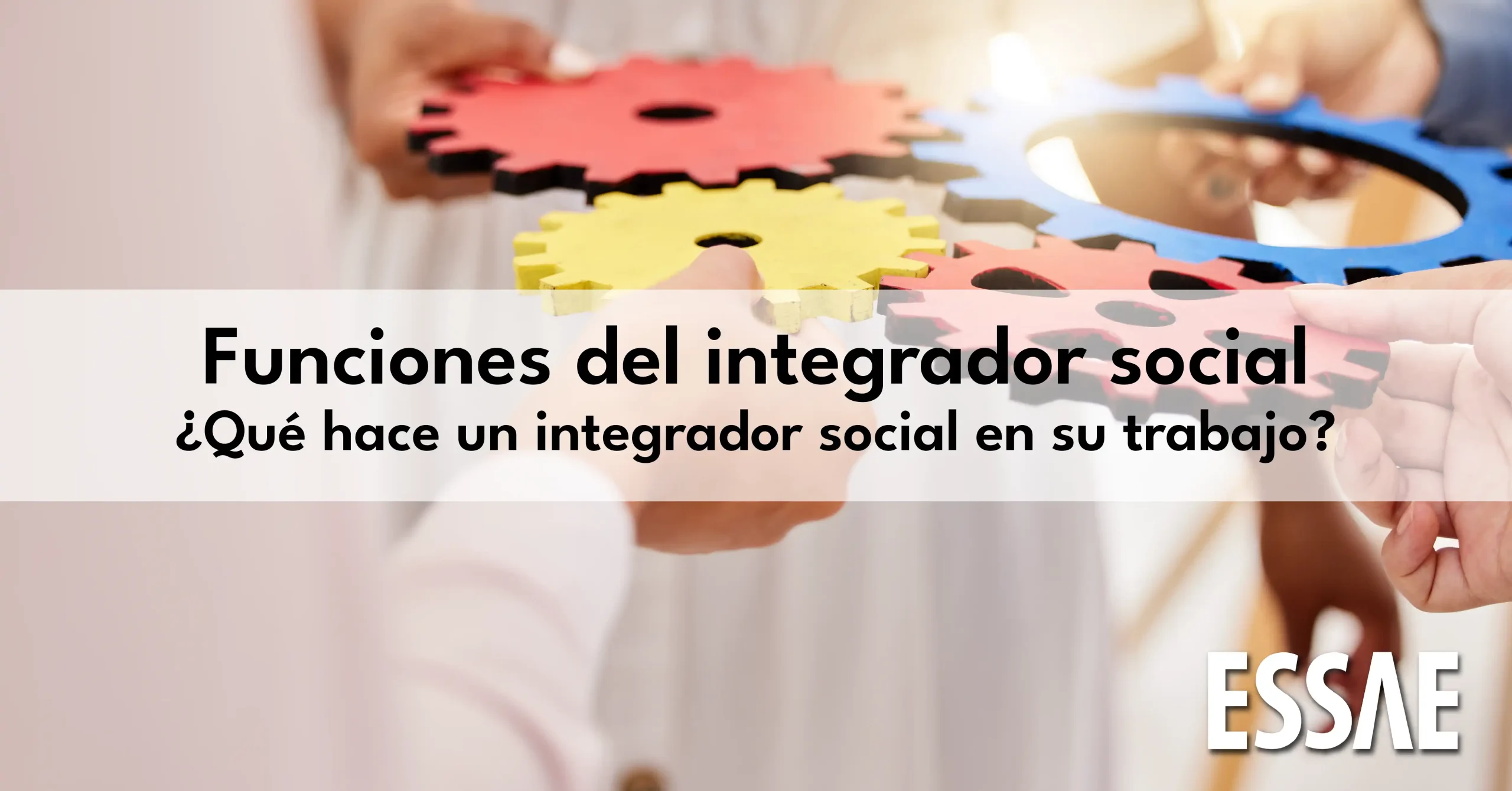 funciones del integrador social
