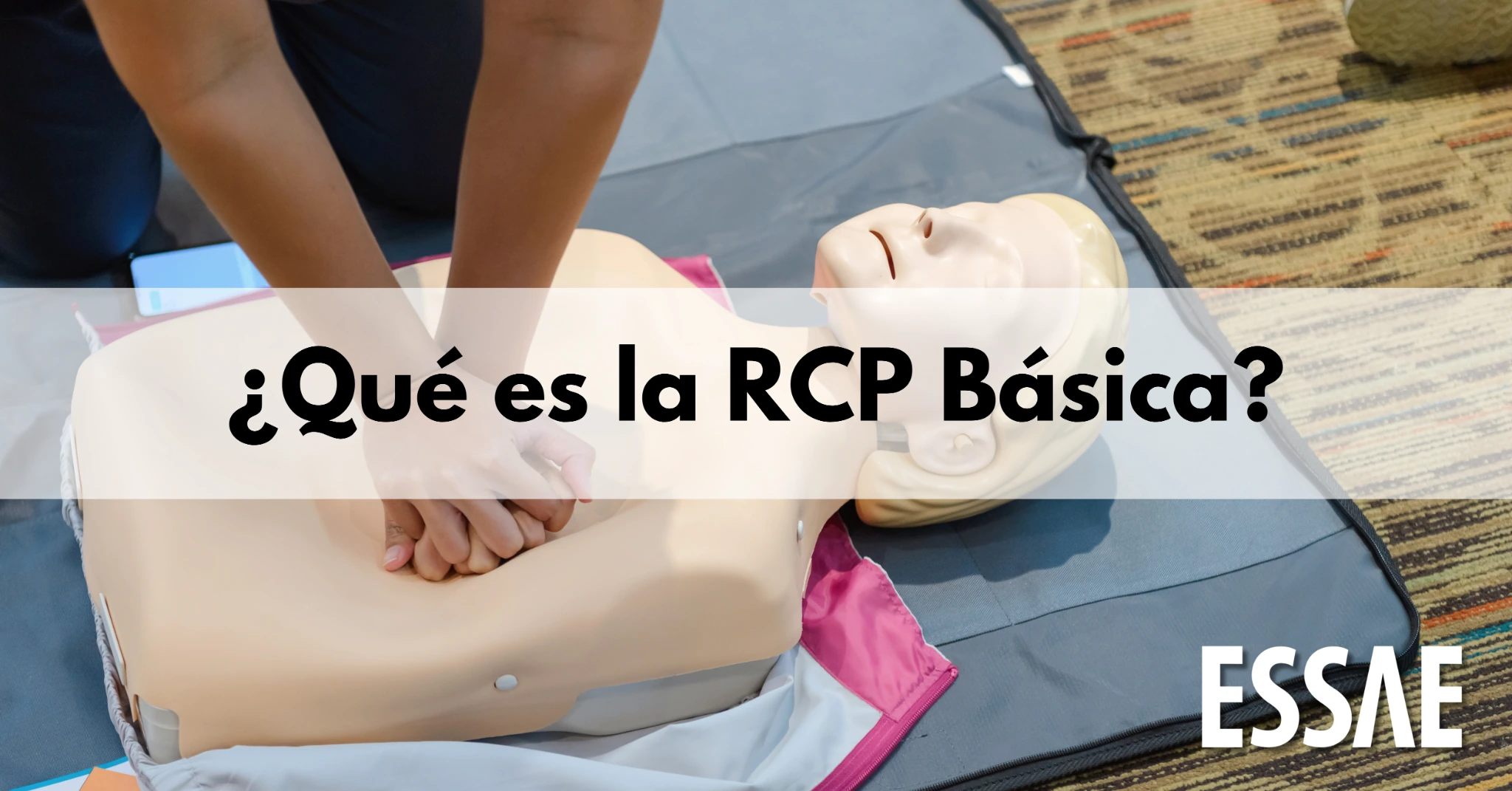 rcp básica