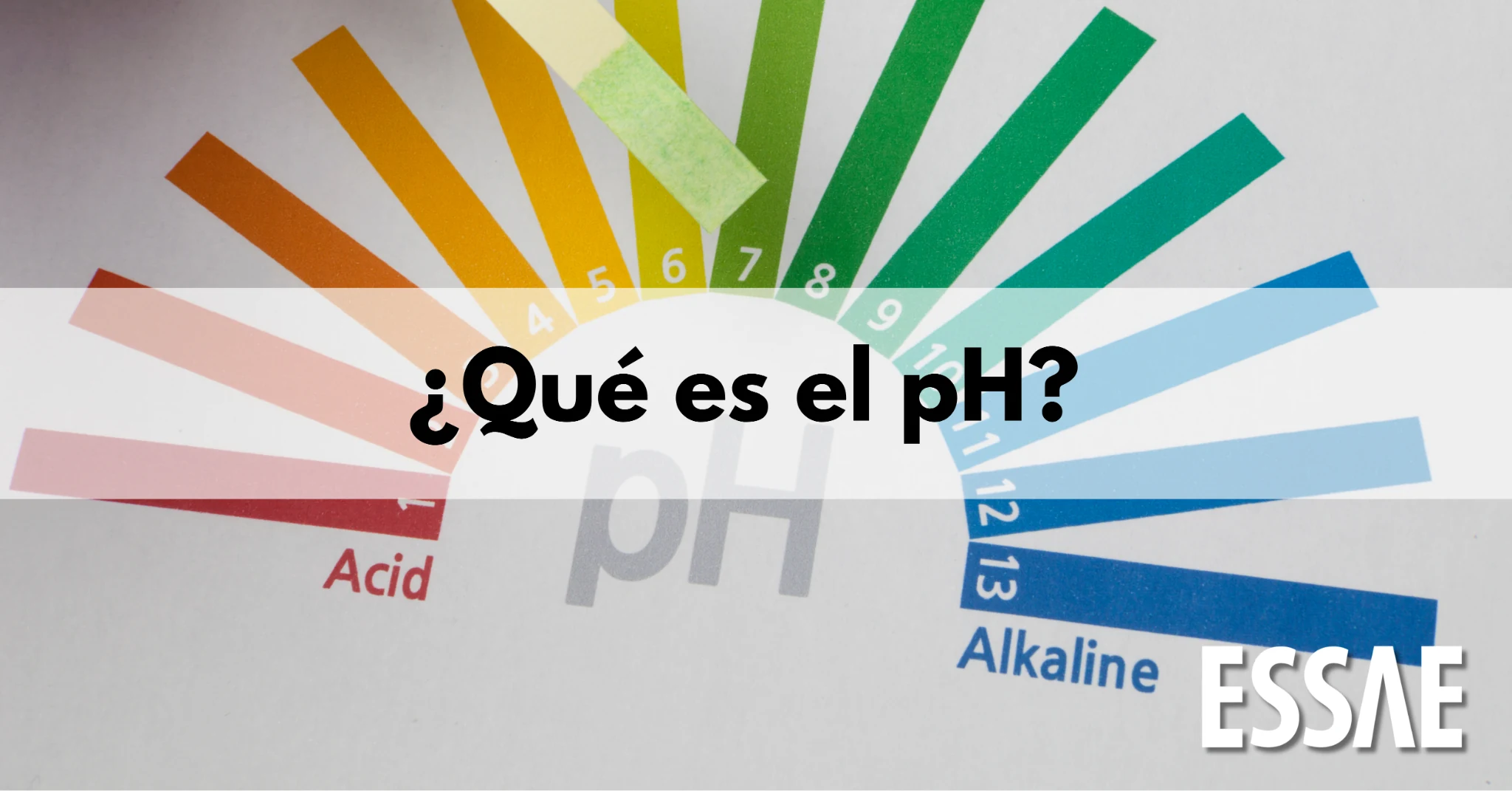 que es el ph