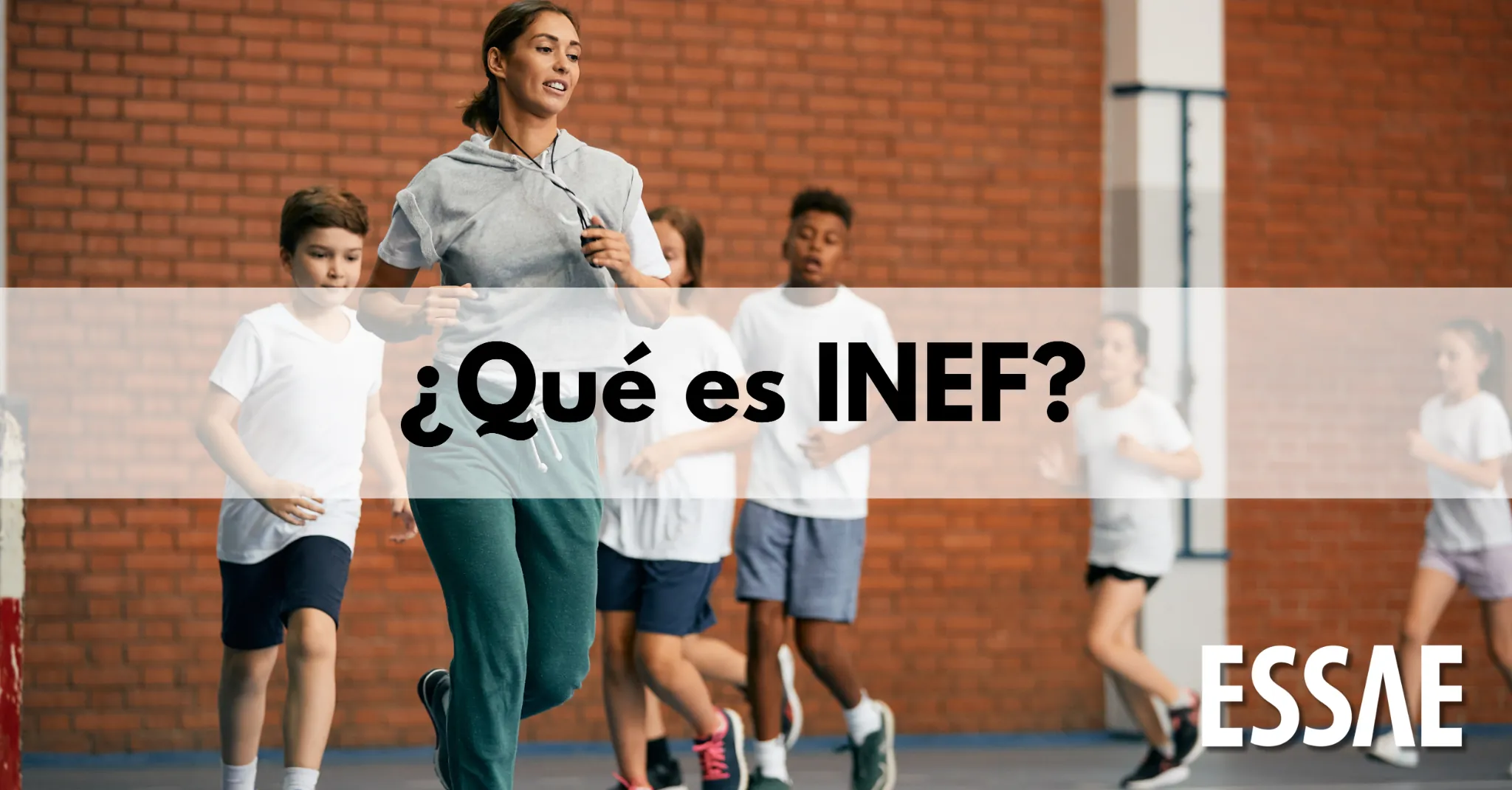 que es inef